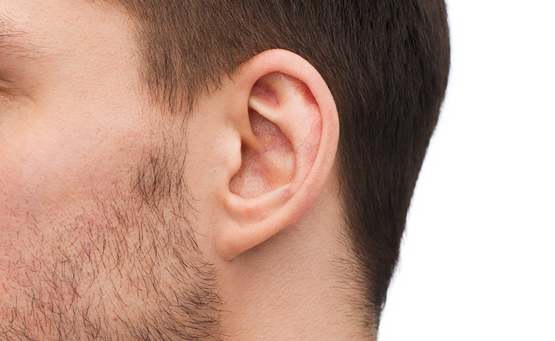  Depilação de Orelha